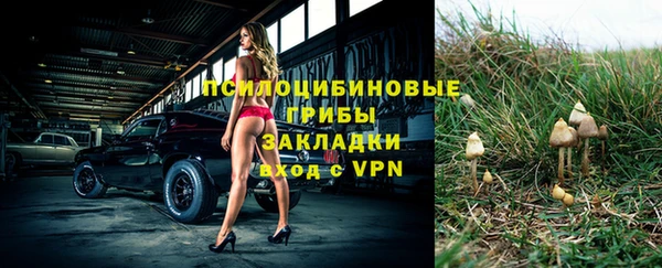 стафф Абаза