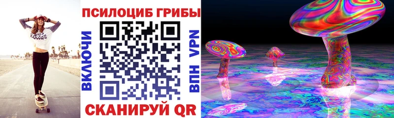 закладка Красновишерск Псилоцибиновые грибы Cubensis